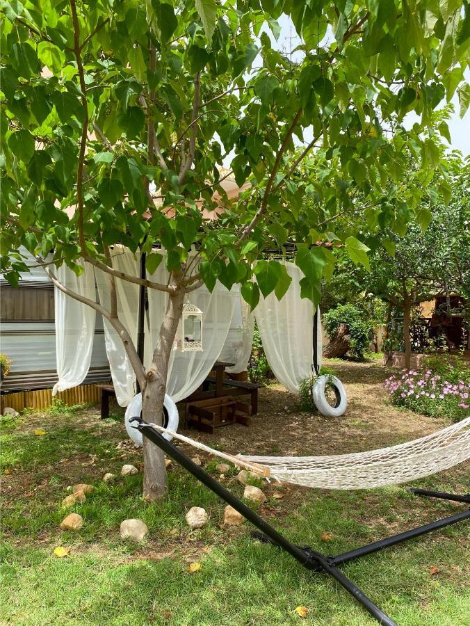Prive Camping Paradise פראליה דיוניסיו מראה חיצוני תמונה