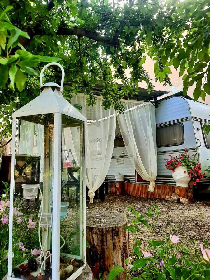 Prive Camping Paradise פראליה דיוניסיו מראה חיצוני תמונה